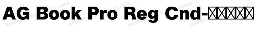 AG Book Pro Reg Cnd字体转换